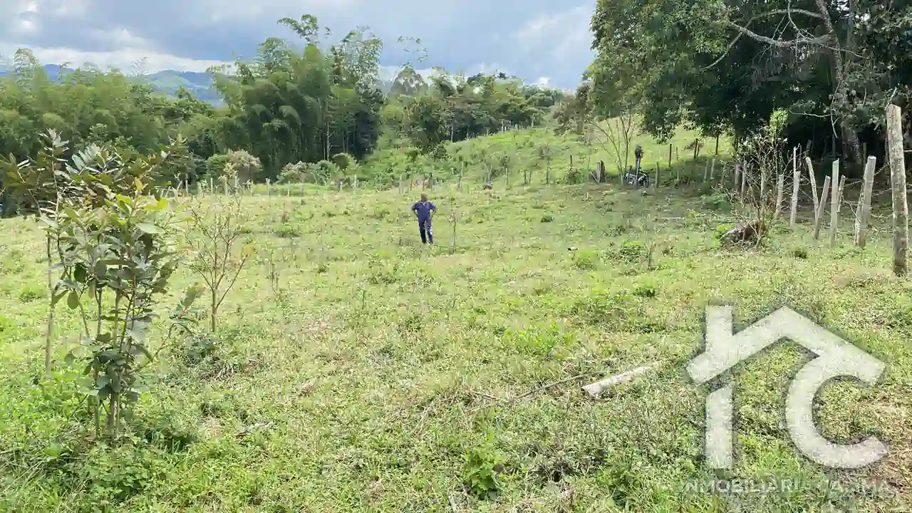 Lote Heidi 2 6040 metros